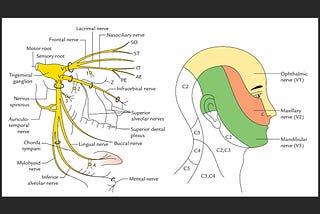 Medical Minute: Headaches