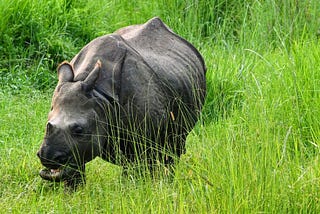 5 Remarkable reasons to travel Northeast India