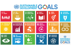 THE NEW NORMAL: A ROAD MAP FOR SUSTAINABLE DEVELOPMENT GOALS POST COVID-19