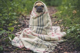 How To Leave Your Warm Bed Even When It’s Cold Outside
