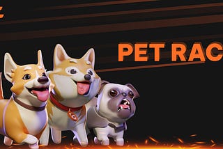 beFITTER introduces an exciting new feature — Pet Race!