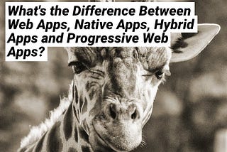 What is the Difference Between Web Apps, Native Apps, Hybrid Apps and Progressive Web Apps for My…