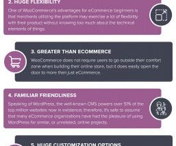 10 Reasons Why is WooCommerce the Best eCommerce Platform?