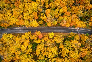 4 Colleges to Visit This Fall