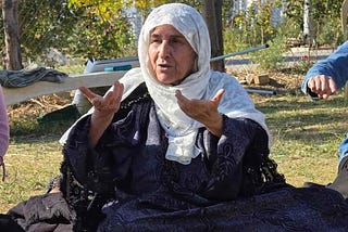 Ecological Resistance and the Politics of Regeneration in Kurdistan by Halwest Karim