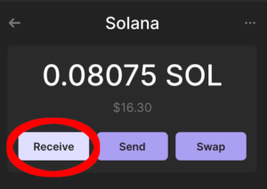 How to Buy Meme Coins on the Solana Blockchain