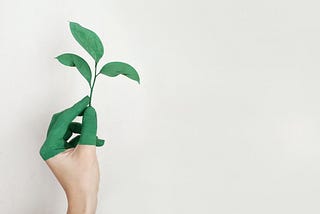 Green Entrepreneurs: The Good Entrepreneurs