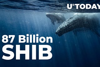 Whale Buys 87 Billion SHIB, While Shiba Balance of Top Investors Shrinks