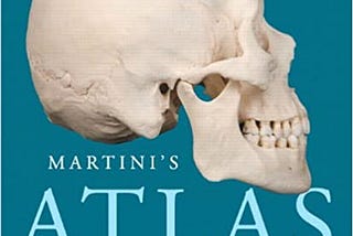 PDF Download> Martini’s Atlas of the Human Body Read >book $ePub