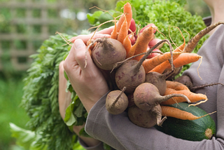 Grow Your Own Food