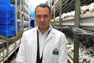 The “mushroom” business of the Prime Minister’s son-in-law Mikhail Mishustin brings in 1 billion…