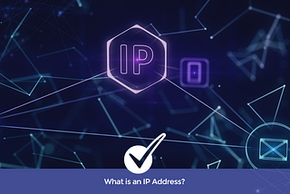 What is a DNS IP address?