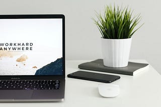 Month Two of Building a Successful Niche Website from Scratch