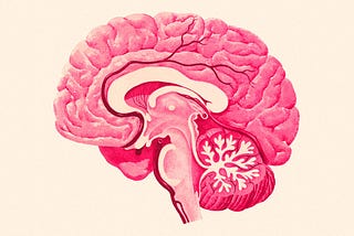 How to Change Your Memories