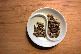 Edible insects: Getting over the ‘yuck’ factor
