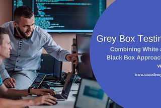 Grey Box Testing: Combining White and Black Box Approaches