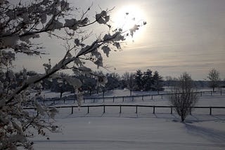 Landscape from the Farm