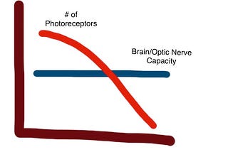 How Retinitis Pigmentosa is Stealing My Vision