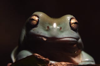 Don’t “Eat That Frog” if You’re an Entrepreneur