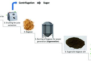 Exploring Sugarcane Bagasse: A Green Revolution | Zarea Limited