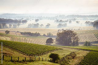 Where to Eat in the Hunter Valley