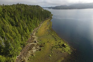 New story map unites sea gardens around the Pacific and shows the importance of revitalizing…