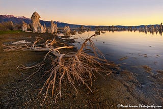 A Fresh look at a salty world during our Photography Workshop in the Eastern Sierra Nevada Desert