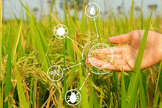 Climate Breakdown, Factory Farming & The Future of Food [part II]