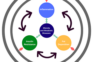 Gut Microbiota Cause Most Chronic Diseases