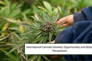 Cameron Forni | International Cannabis Markets: Opportunities and Global Perspectives | Las Vegas…