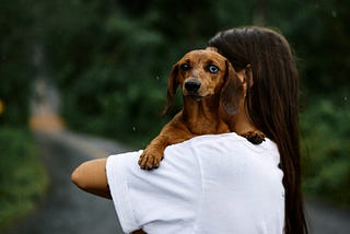 Will Pet Ownership Be Outlawed in the Future?