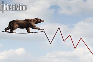 5 Things You Should to Do in Bear Market