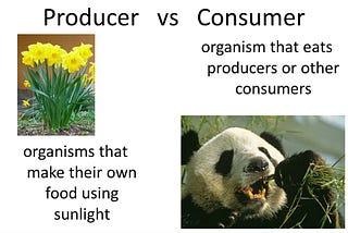 It’s Not about Rich and Poor but Producers and Consumers