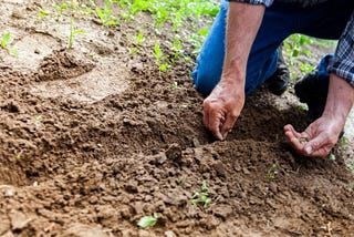 Shawn Rana: Starting a Farm With the Right Fertilizer Approach — BestWorldArticle.com