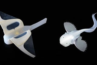 Biomimicry — Innovation from the Scheme of Evolution