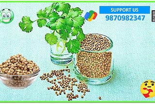 Coriander | Coriander Juice | Medicinal Benefits of Coriander