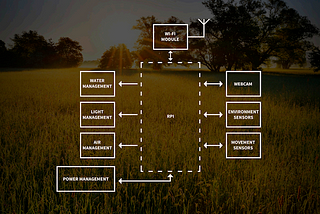 Smart greenhouse, patient monitor and more — Learnings in IoT from a software engineering leader