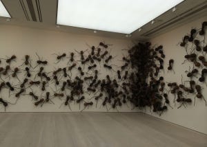 Stretching continents: Pangaea at Saatchi Gallery