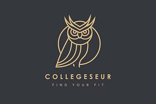 60+ Stunning Owl Logos Crafted by Professional Designers