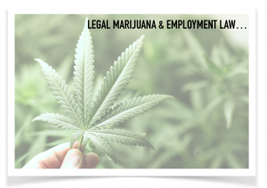 GETTING FIRED FOR USING LEGAL MARIJUANA MAY BE ILLEGAL!
