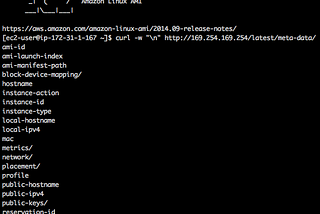 Get the AWS EC2 instance metadata