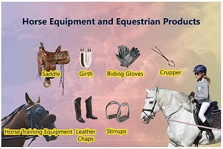 Horse and Camel Equipment and Equestrian Products