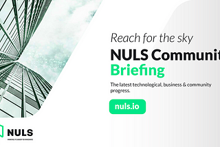 NULS Community Briefing/The 2nd Half of December 2024