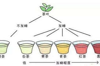 中國六大茶類簡介及產區分佈地圖