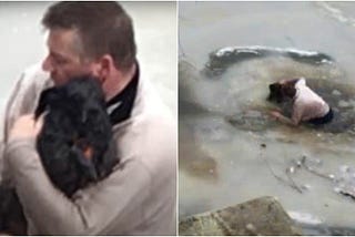 Man Broke Through The Ice To Save A Stranger’s Drowning Dog