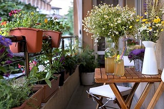 21 Best Plants for Balcony Garden In India