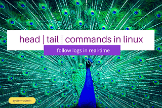 head | tail | How to follow logs in real time? | Linux