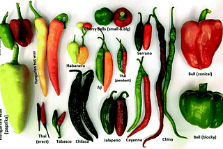 Where did Capsicum annuum originate?