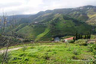 A Scenic Drive on the Terraced Hills of Douro River Valley * Outside Suburbia Travel