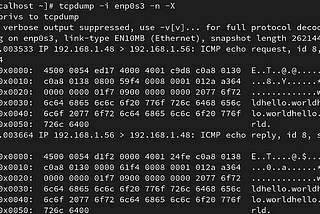“Ping Pong: The Art of Chatting with Ping using the power of tcpdump”